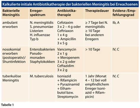 bakterielle meningitis leitlinie